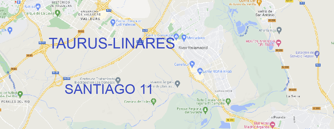 Oficina TAURUS LINARES