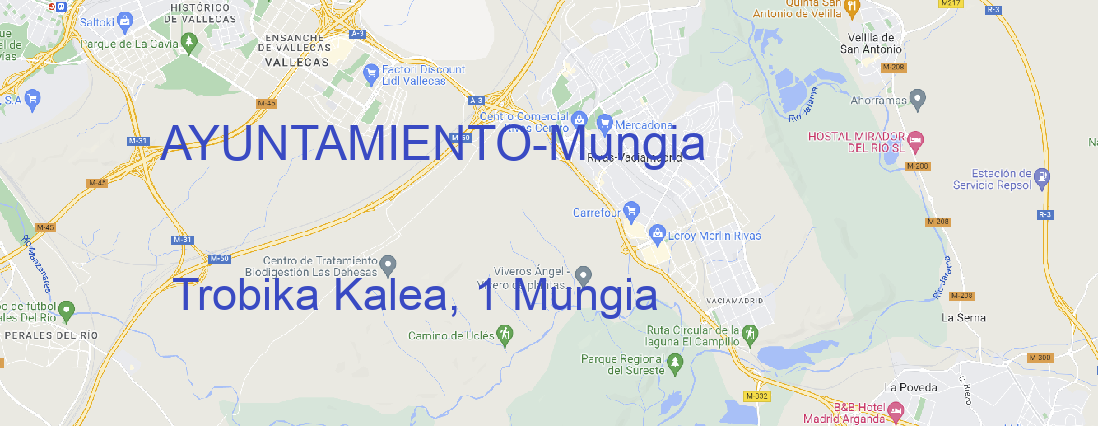 Oficina AYUNTAMIENTO Mungia
