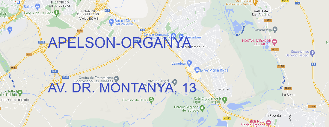 Oficina APELSON ORGANYA