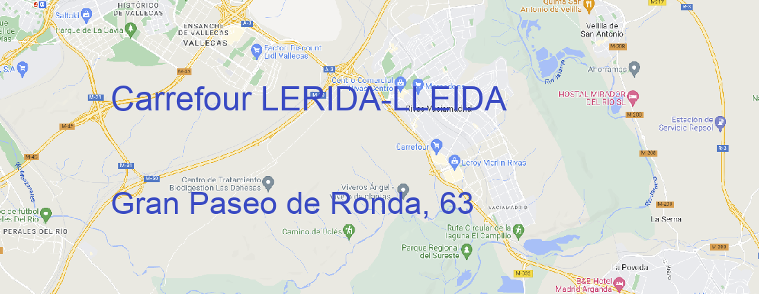 Tienda Carrefour LERIDA LLEIDA
