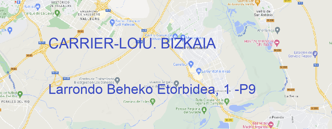 Oficina CARRIER LOIU. BIZKAIA