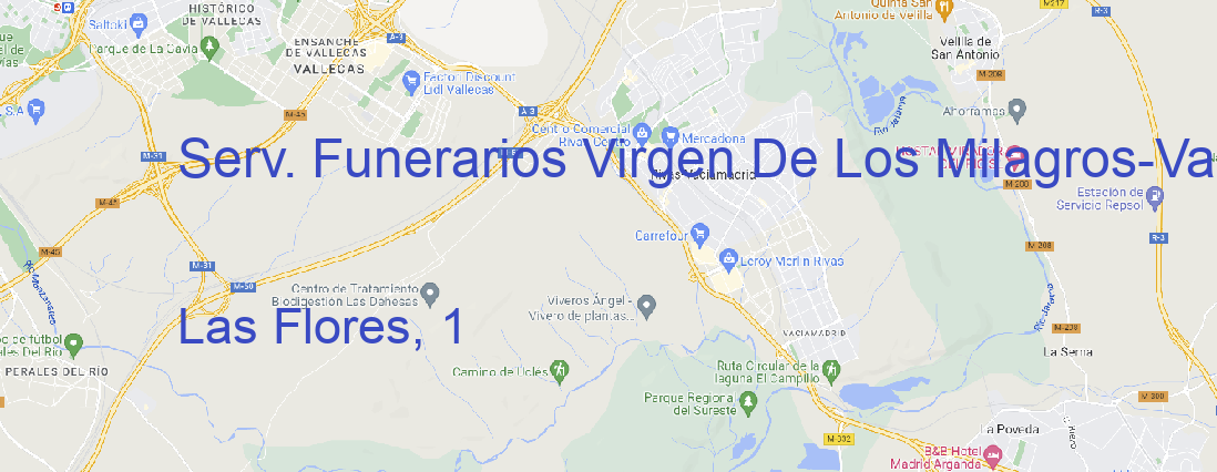 Tienda Serv. Funerarios Virgen De Los Milagros Valdestillas