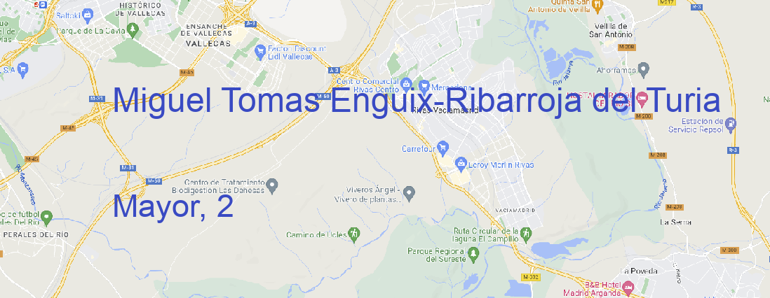 Tienda Miguel Tomas Enguix Ribarroja del Turia