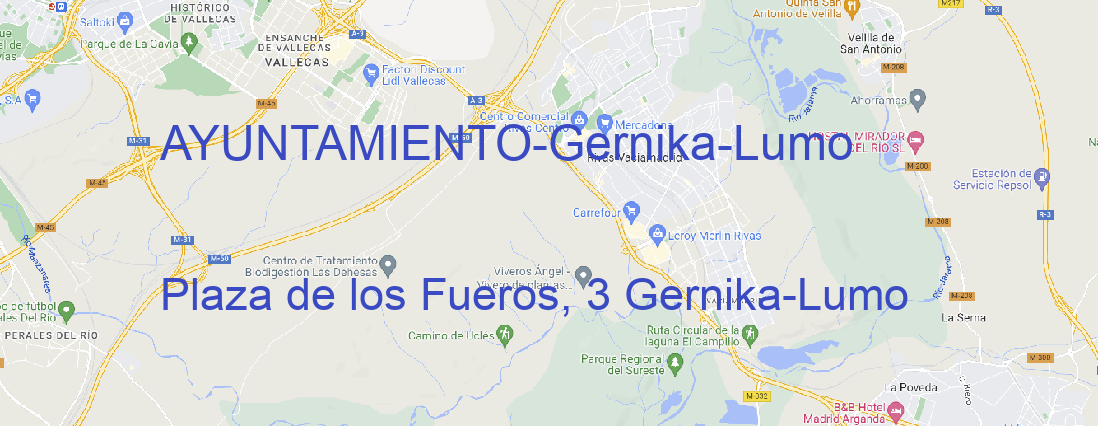 Oficina AYUNTAMIENTO Gernika-Lumo
